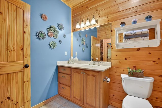 2587 Goose Island Road, Cherry Log, GA 30522