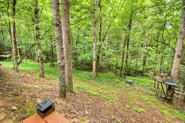 2587 Goose Island Road, Cherry Log, GA 30522