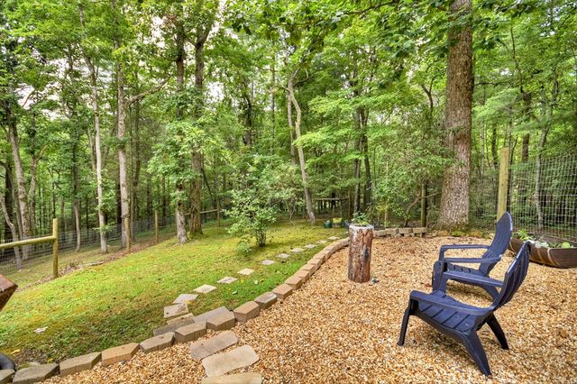 2587 Goose Island Road, Cherry Log, GA 30522