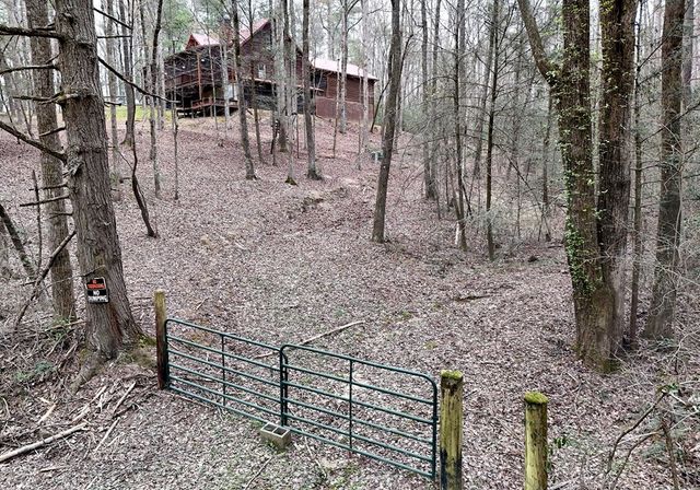 2587 Goose Island Road, Cherry Log, GA 30522