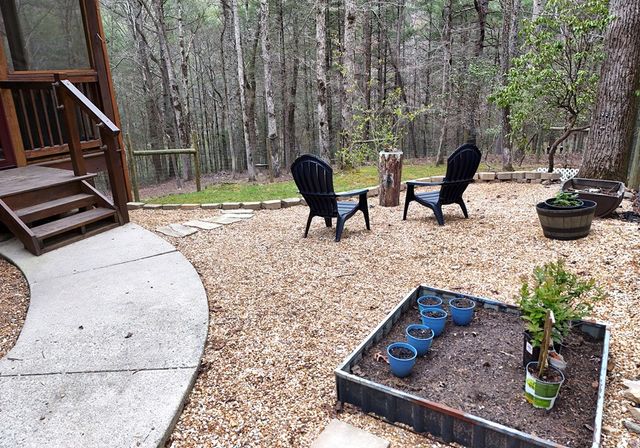 2587 Goose Island Road, Cherry Log, GA 30522