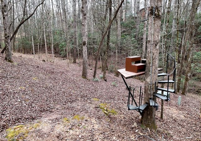 2587 Goose Island Road, Cherry Log, GA 30522