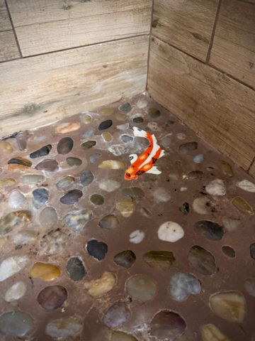 167 Cypress Point Drive, Palm Beach Gardens, FL 33418