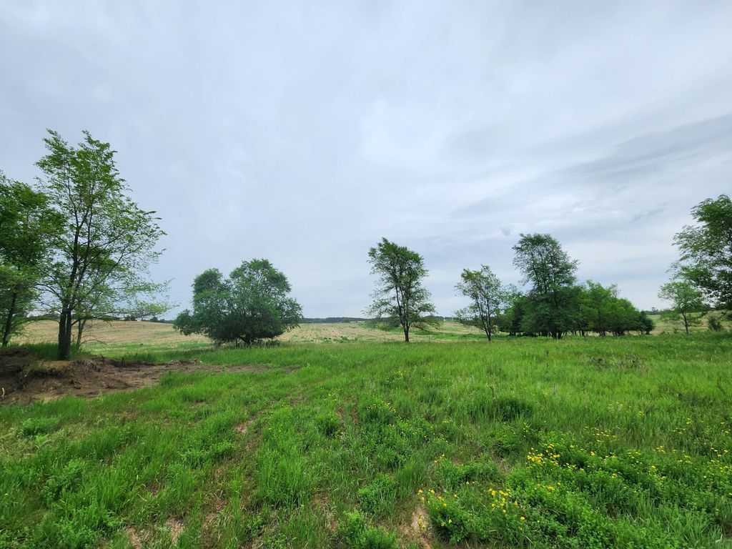 15XXX Paul Avenue N, Marine On Saint Croix, MN 55047 — photo 4