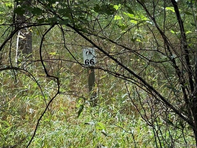 Lot 66 Preserve Drive, Fenton, MI 48430