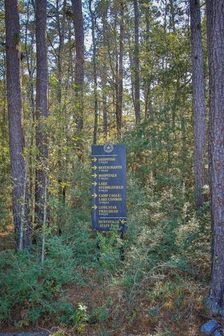 12-22-60 Granite Road, Huntsville, TX 77340