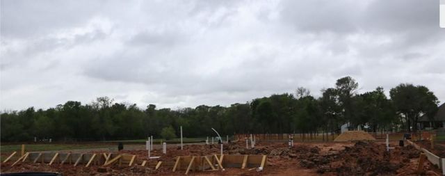 8018 Fulshear Ridge Drive, Fulshear, TX 77441