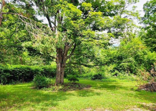 115 River Street, Wallingford, VT 05773