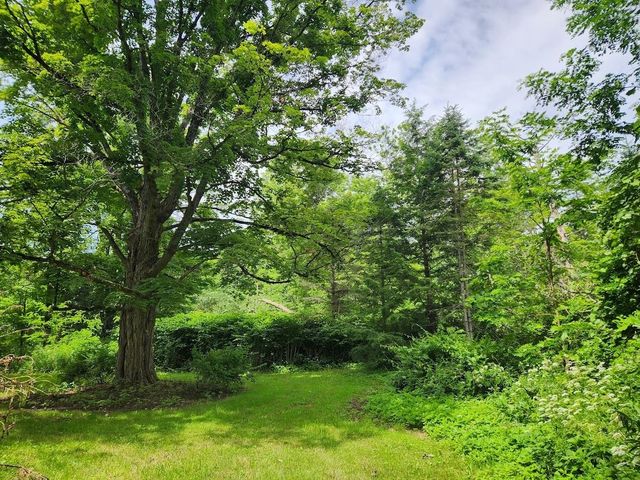 115 River Street, Wallingford, VT 05773