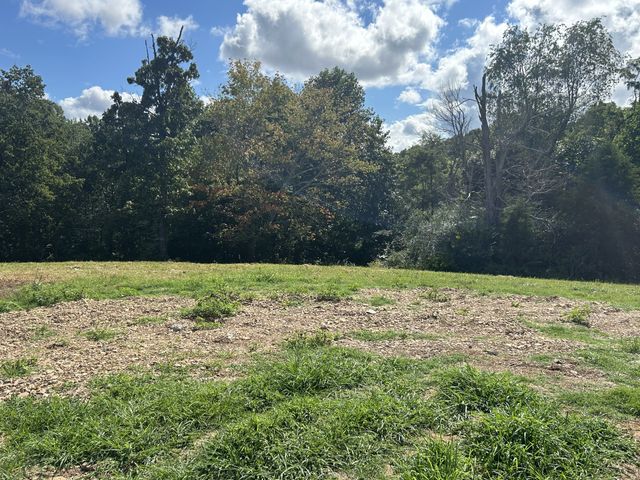 1036 Union Camp Rd, Lafayette, TN 37083
