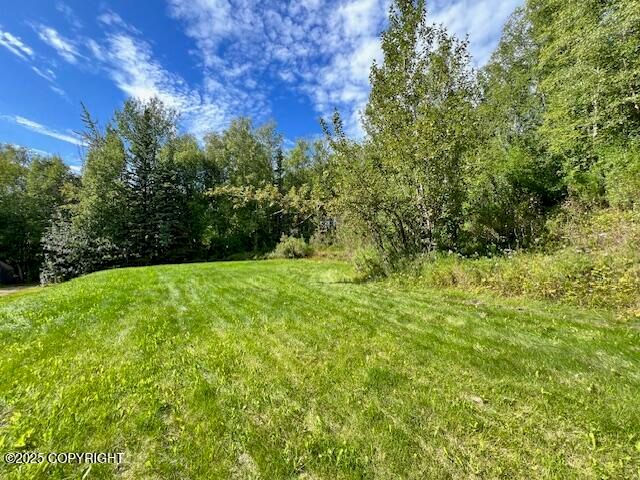 4301 E Foxtrot Avenue, Wasilla, AK 99654