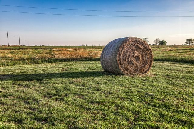 15520 Farm To Market 912, Washington, TX 77880