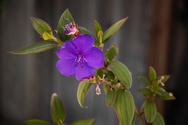 230 Belleview Dr, San Leandro, CA 94577