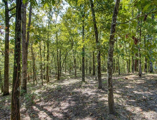 100 St Andrews, Hot Springs, AR 71913