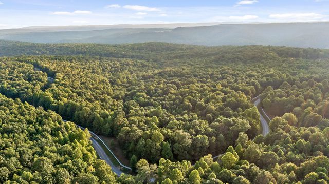 68 Bluff View Drive, Dunlap, TN 37327