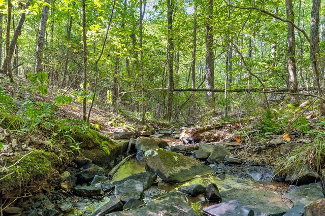 68 Bluff View Drive, Dunlap, TN 37327