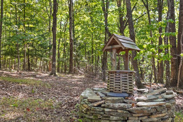68 Bluff View Drive, Dunlap, TN 37327