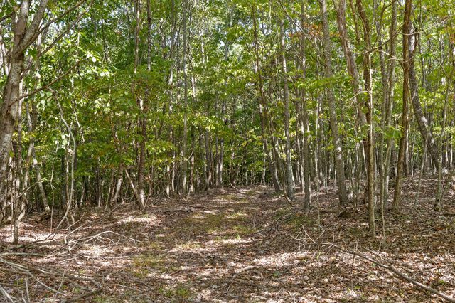 68 Bluff View Drive, Dunlap, TN 37327