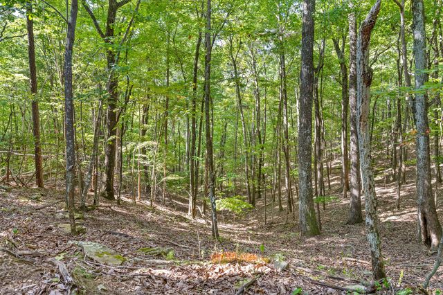 68 Bluff View Drive, Dunlap, TN 37327