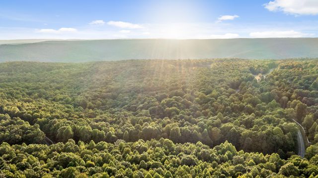 68 Bluff View Drive, Dunlap, TN 37327