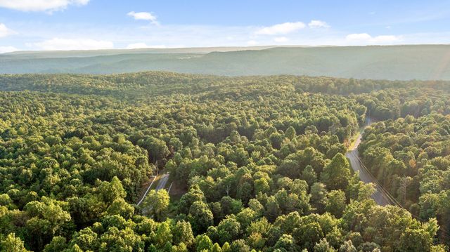 68 Bluff View Drive, Dunlap, TN 37327