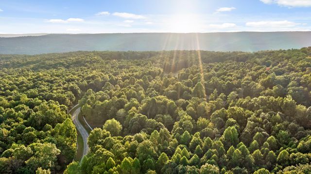 68 Bluff View Drive, Dunlap, TN 37327