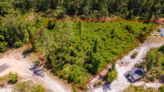 307 SABAL PALM Court, Georgetown, FL 32139