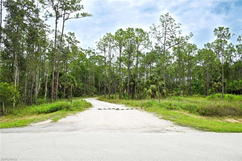 24443 Rocky RD, BONITA SPRINGS, FL 34135 — exterior