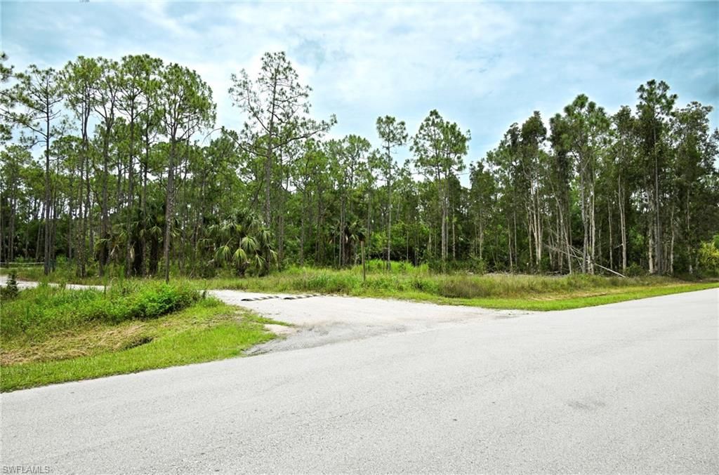 24443 Rocky RD, BONITA SPRINGS, FL 34135 — photo 2