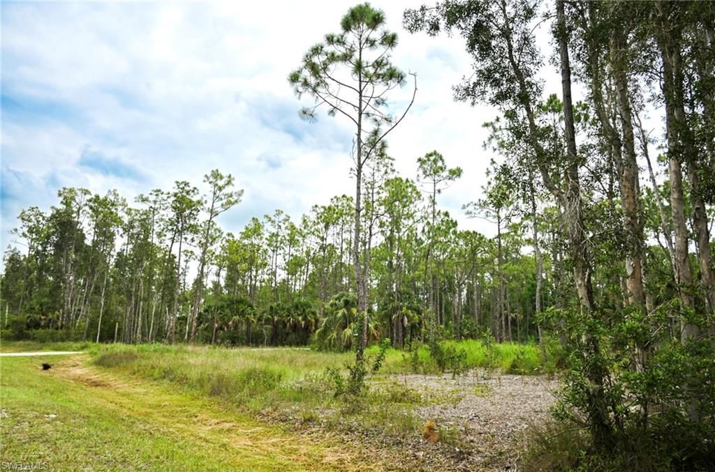 24443 Rocky RD, BONITA SPRINGS, FL 34135 — photo 3