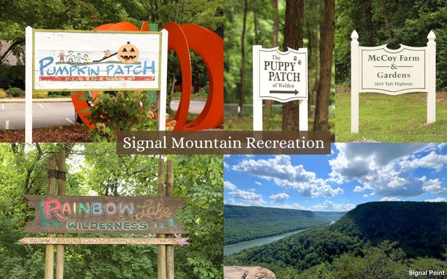 103 Brow View Lane, Signal Mountain, TN 37377