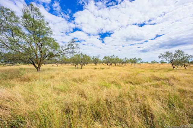 6754 North Grape Creek Rd, Fredericksburg, TX 78624