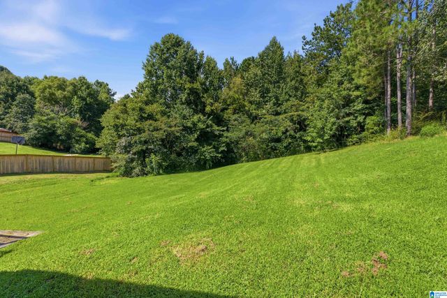 386 MIRANDA ROAD, Warrior, AL 35180