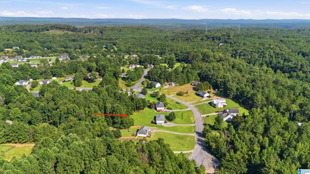 386 MIRANDA ROAD, Warrior, AL 35180