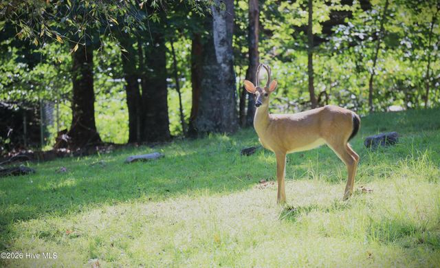 234 Ashley Lane, Murphy, NC 28906