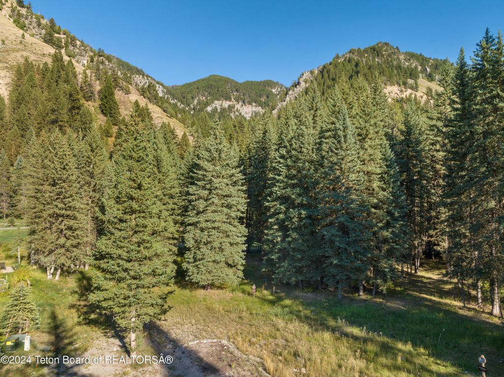 15630 S WAGON Road, Jackson, WY 83001 photo 11