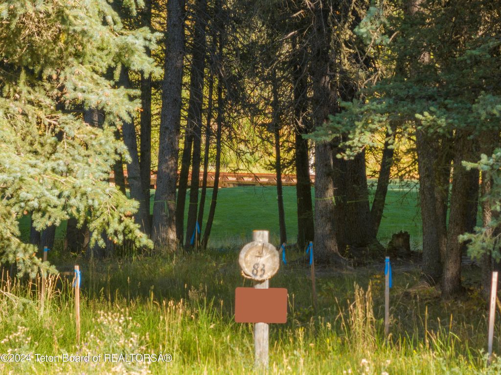 15630 S WAGON Road, Jackson, WY 83001 photo 8