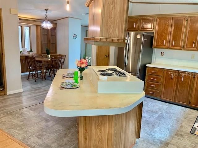 13957 COUNTY ROAD 109D, Lady Lake, FL 32159