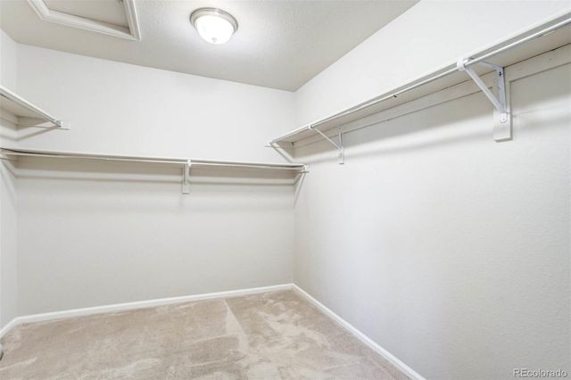 4709 Helena Street, Denver, CO 80239