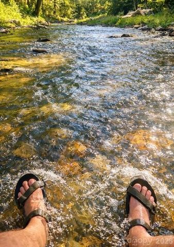 42 Rivercove Lane, Saluda, NC 28773