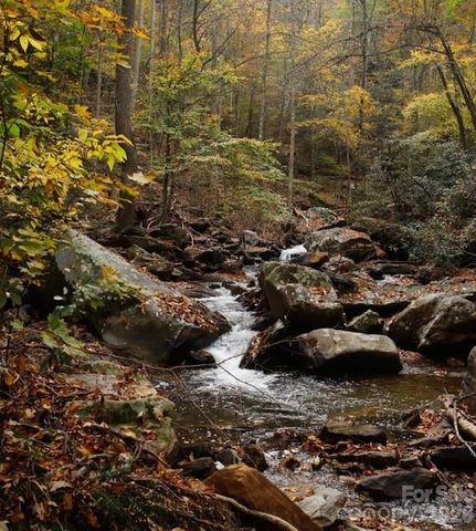 42 Rivercove Lane, Saluda, NC 28773