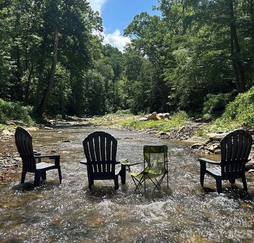 42 Rivercove Lane, Saluda, NC 28773