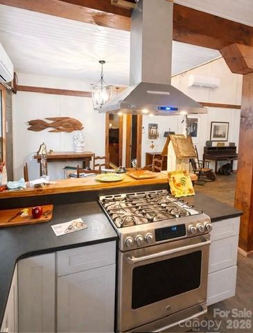 42 Rivercove Lane, Saluda, NC 28773