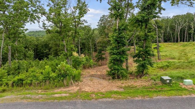 Lot 92 Timberline Trail, Talking Rock, GA 30175