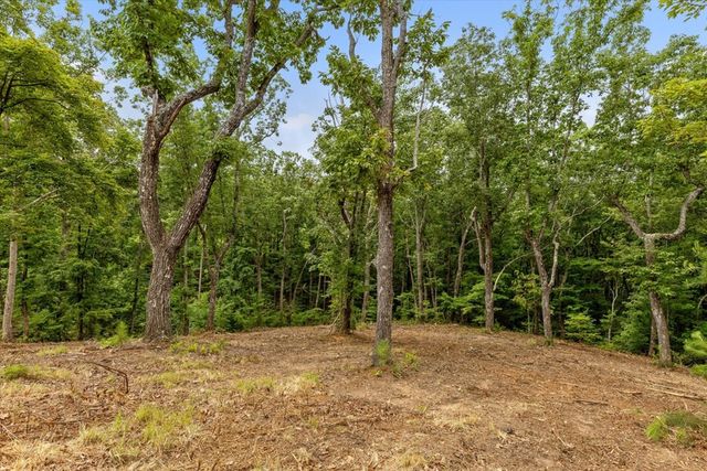 Lot 92 Timberline Trail, Talking Rock, GA 30175