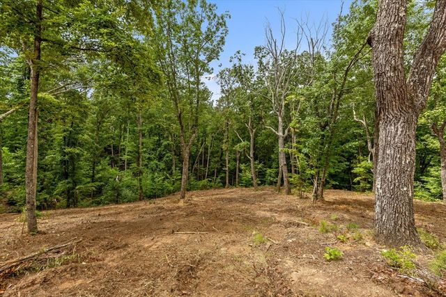 Lot 92 Timberline Trail, Talking Rock, GA 30175