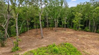 Lot 92 Timberline Trail, Talking Rock, GA 30175