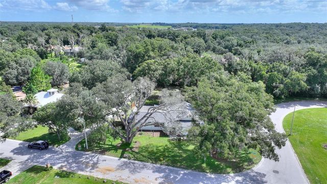12201 ELSMERE COURT, Thonotosassa, FL 33592