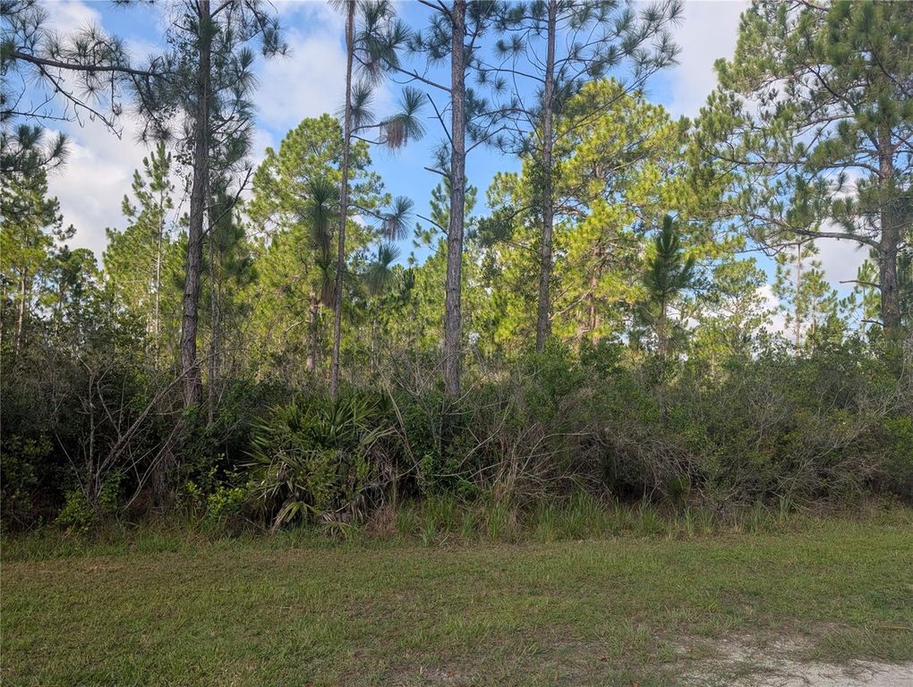 CORAL GABLES DRIVE, Indian Lake Estates, FL 33855