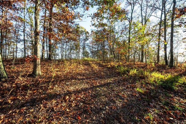 0 County Road 336, Annapolis, MO 63620